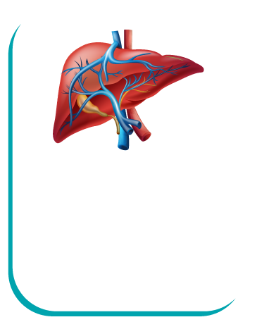 स्वस्थ लिवर